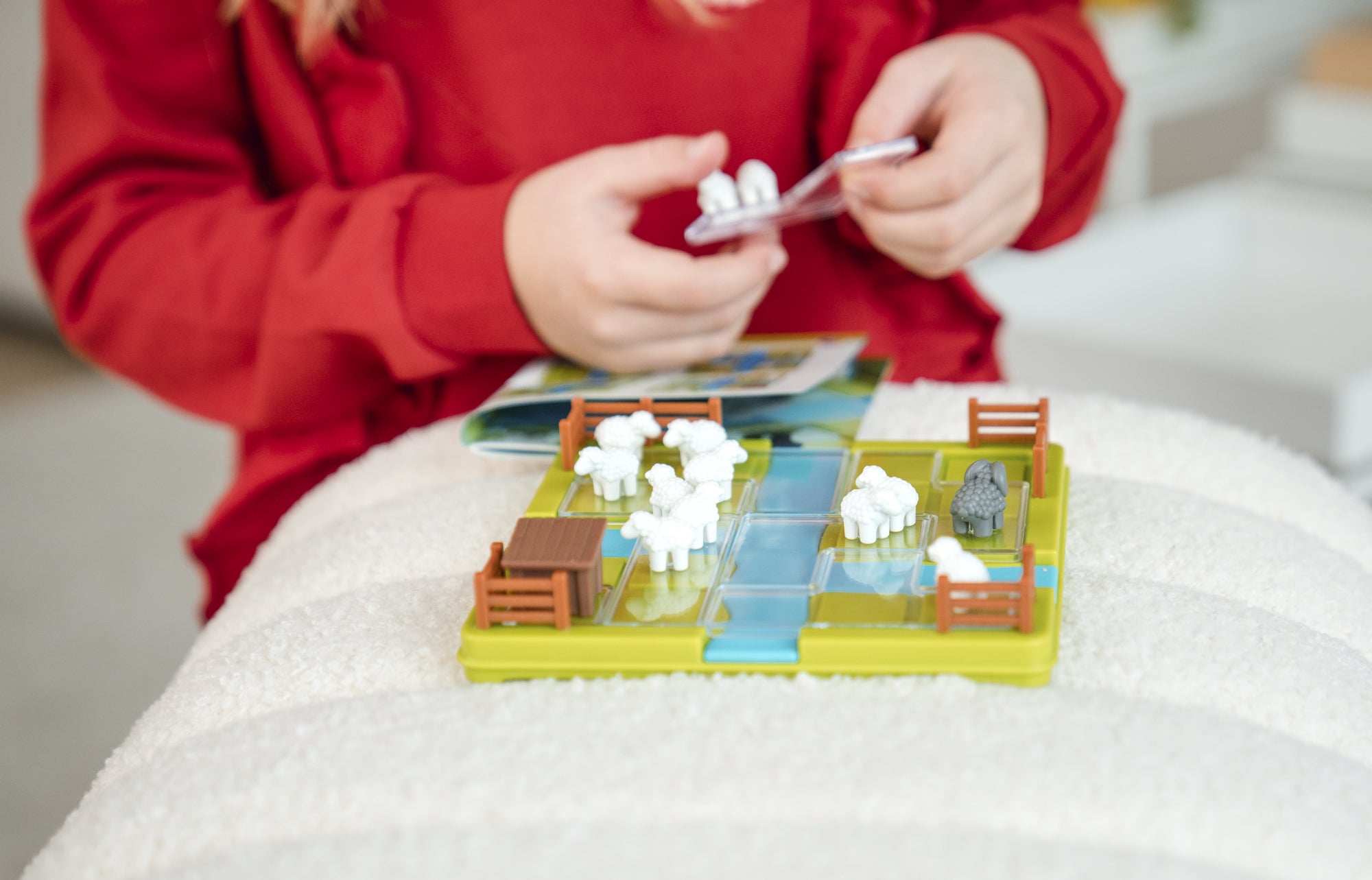Smart Games - Counting Sheep