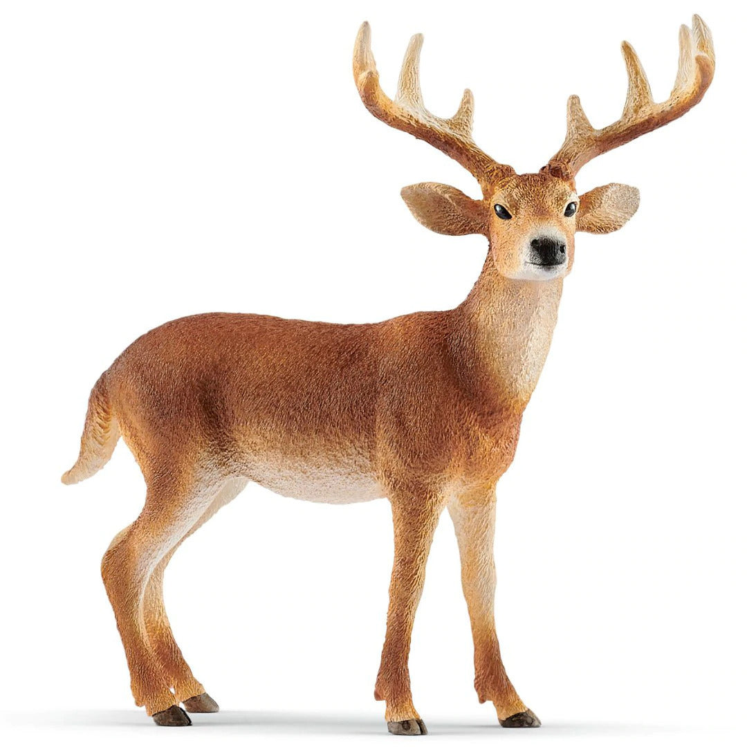 Schleich - White-Tailed Buck