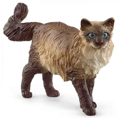 Schleich - Ragdoll Cat