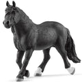 Schleich - Noriker Stallion