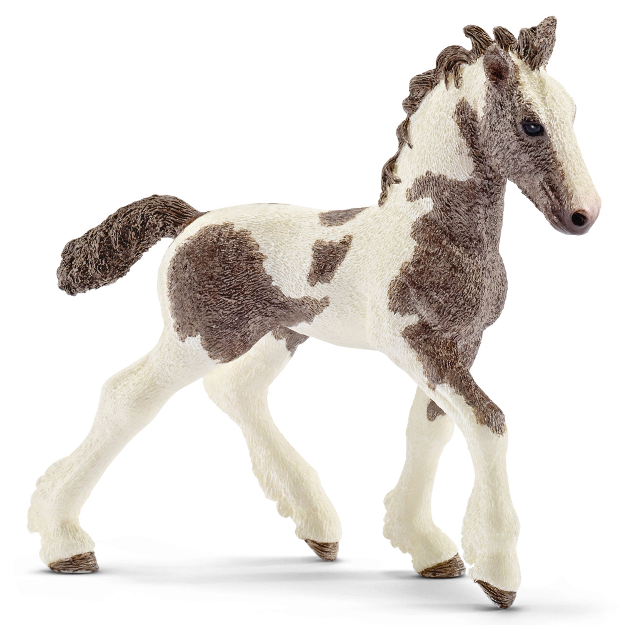 Schleich - Tinker Foal