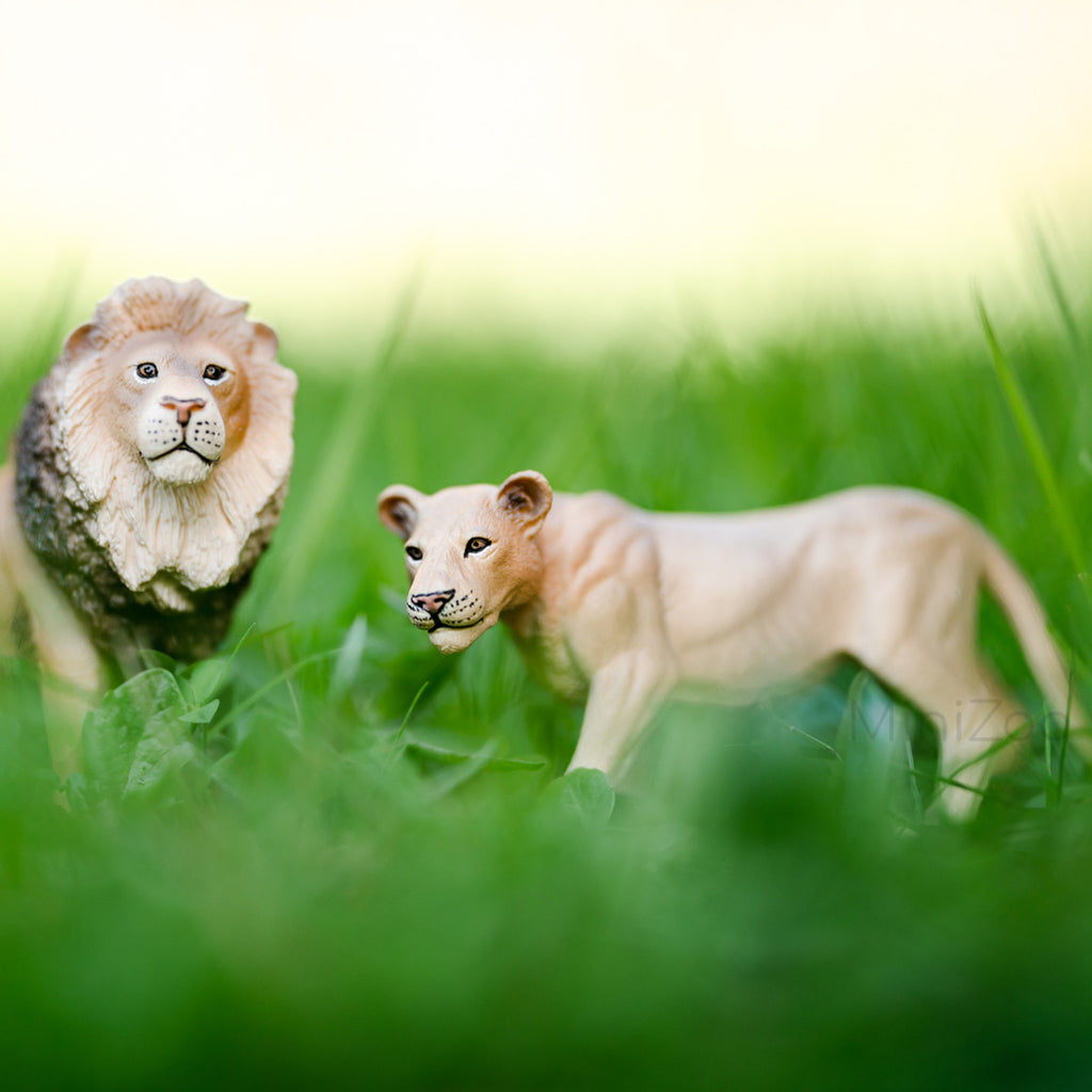 Schleich - Lioness