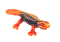 Wild Republic - Coilkins Himalayan Lizard