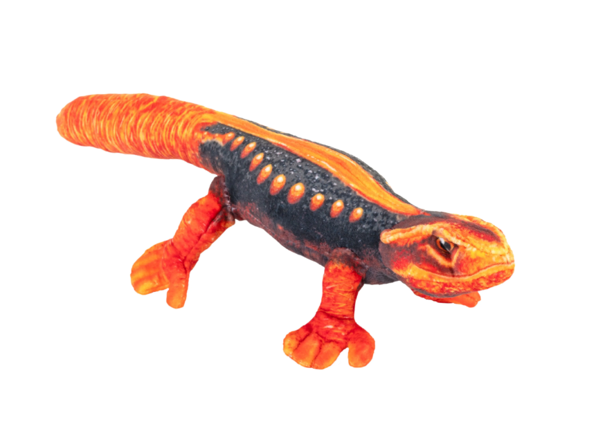 Wild Republic - Coilkins Himalayan Lizard