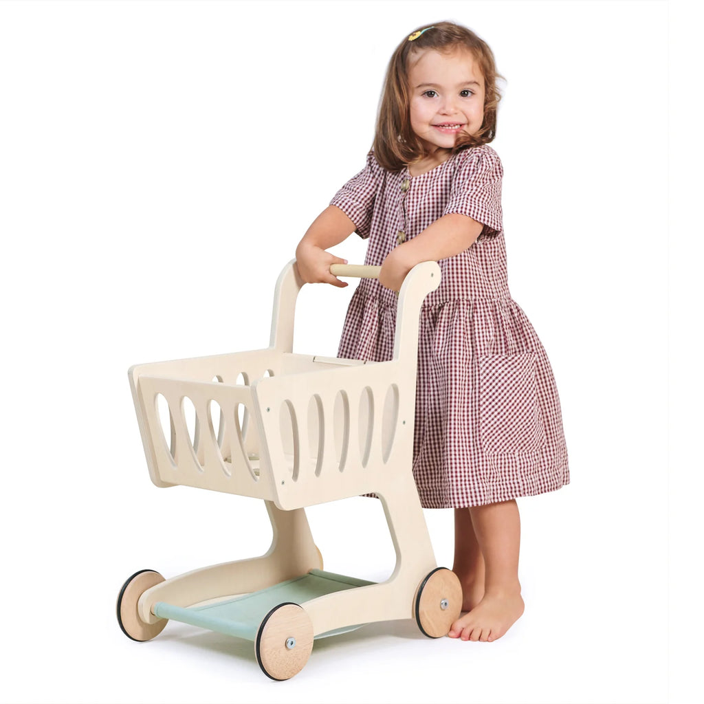 Tender Leaf Toys - Shopping Cart