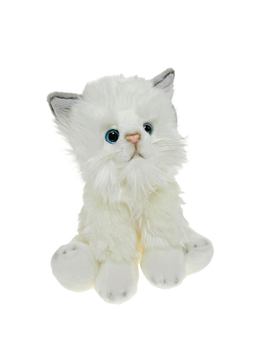Cotton Candy - White Cat