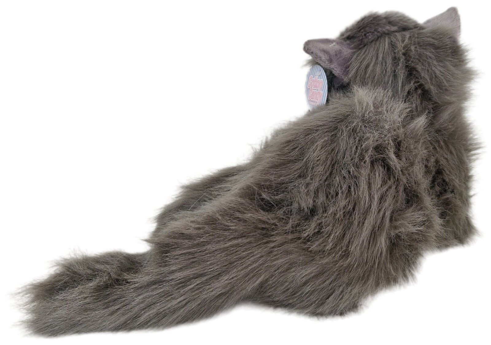 Cotton Candy - Lying Grey Cat