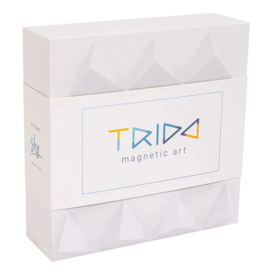 Trido - Magnetic Art  Small Honey 12pc