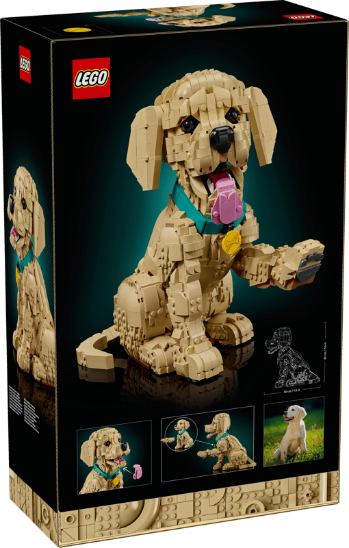 LEGO - Icons Golden Retriever Puppy 11384