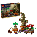 Lego - Harry Potter Hogwarts Herbolopy Plants 76474