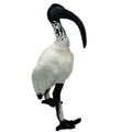 Huggable - Opal Ibis