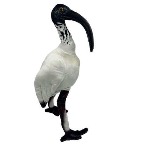 Huggable - Opal Ibis