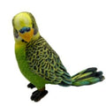 Huggable - Beckey Budgie