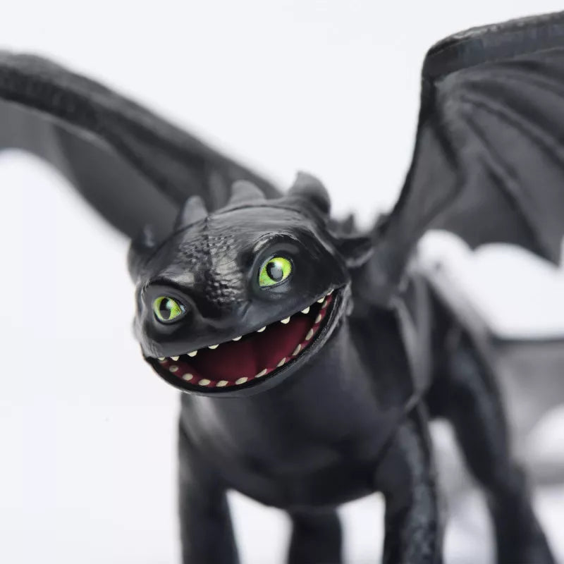 How to Train Your Dragon - Toothless & Hiccup