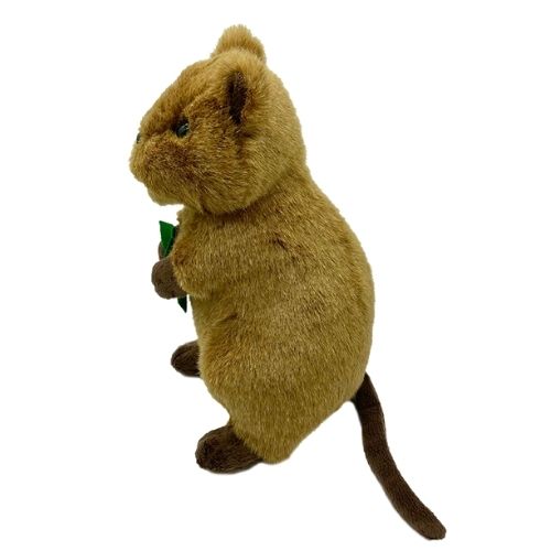 Huggable - Bungeup Quokka