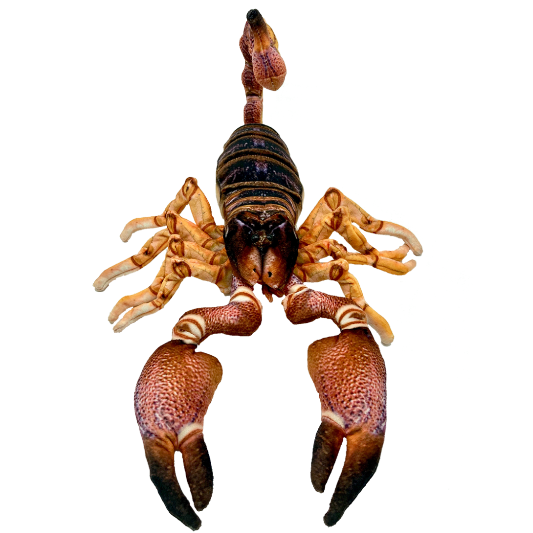 Huggable - Spike Scorpion