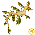 Huggable - Leafy Sea Dragon Small 55cn