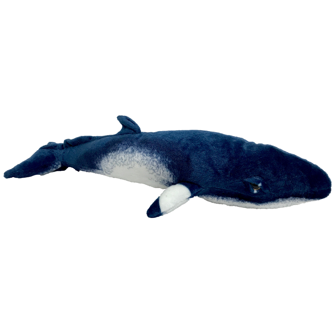 Huggable - Minke Whale