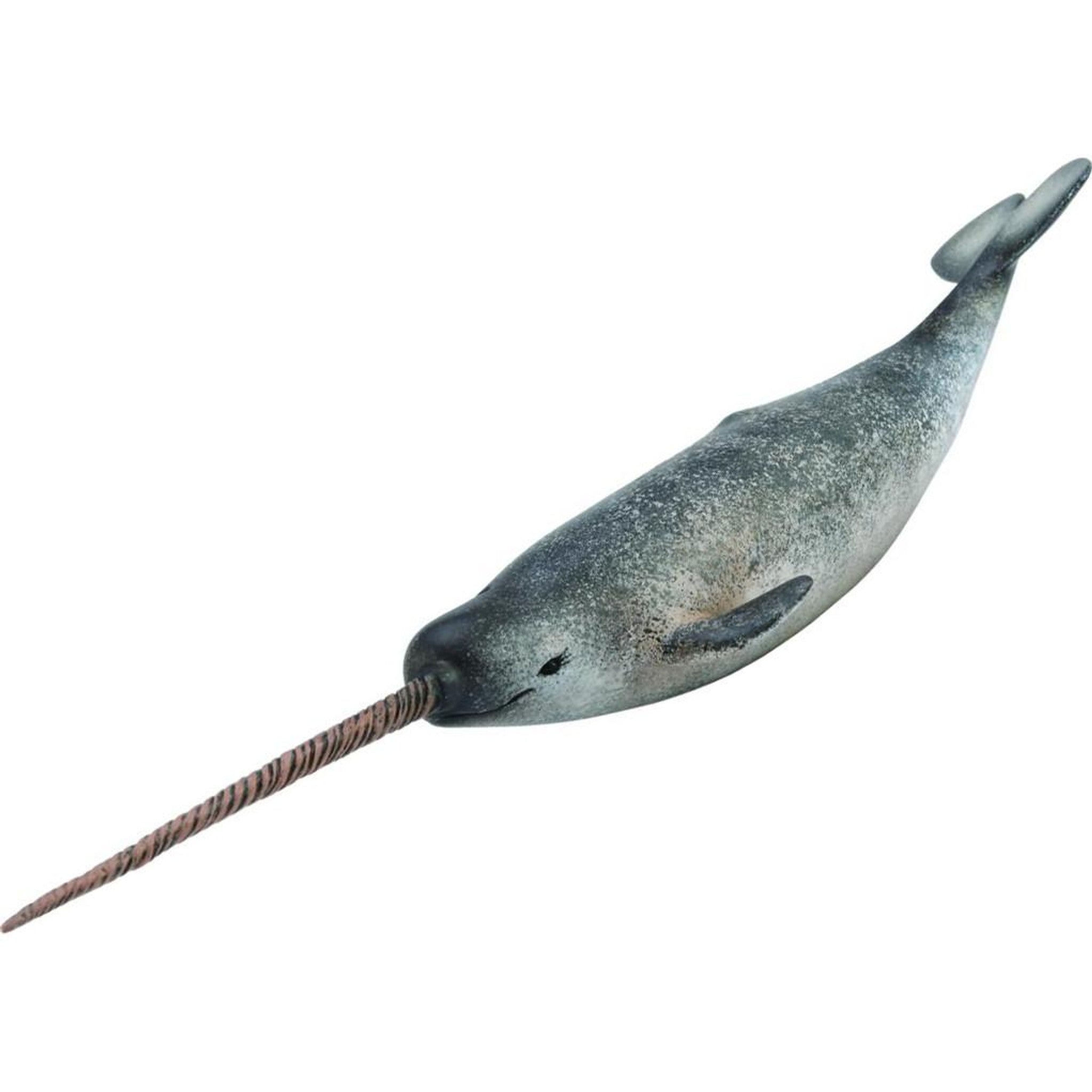 Collecta - Narwhal