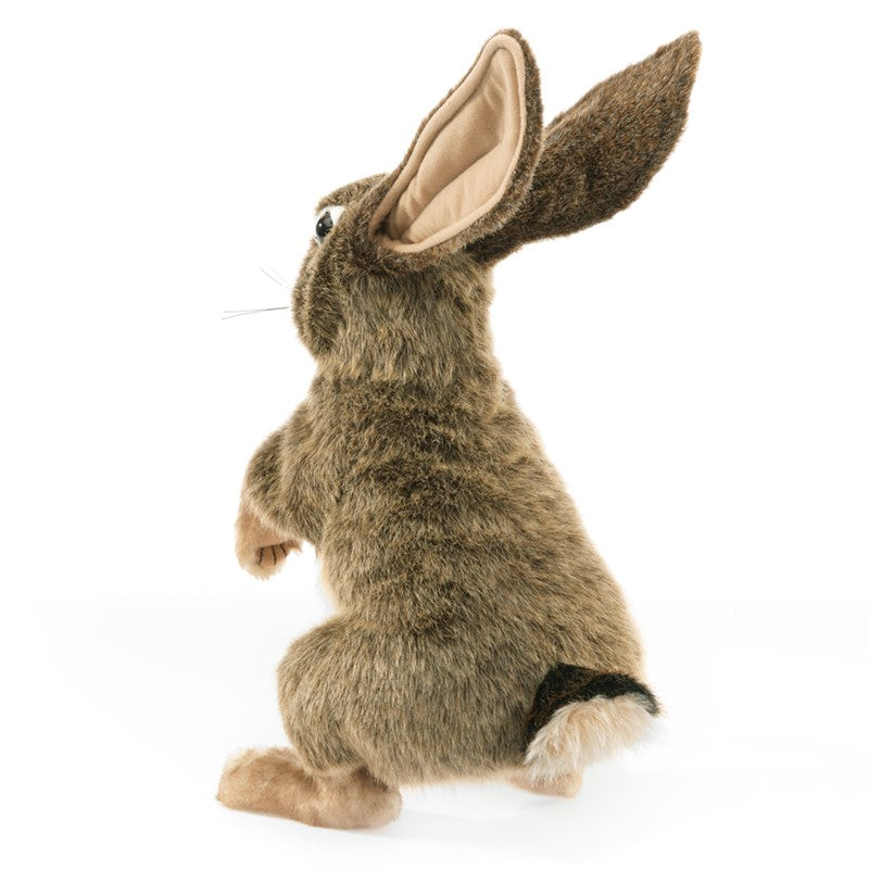 Folkmanis - Jack Rabbit Puppet