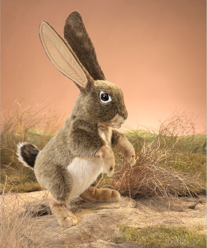 Folkmanis - Jack Rabbit Puppet