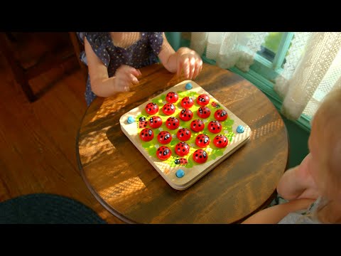 Fat Brain - ladybug Memory Game