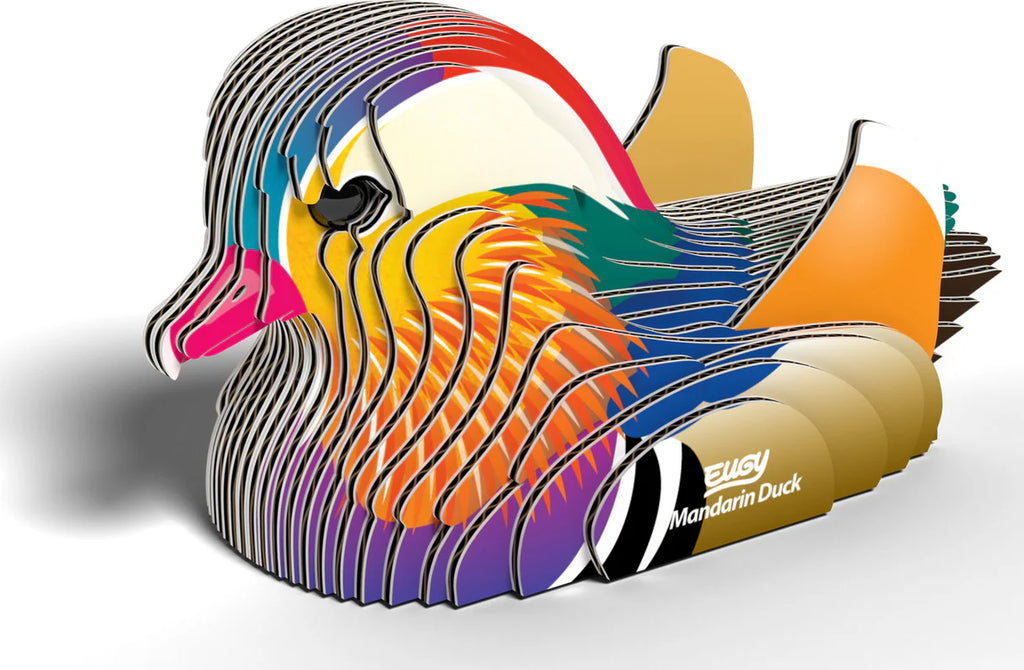 EUGY - Mandarin Duck