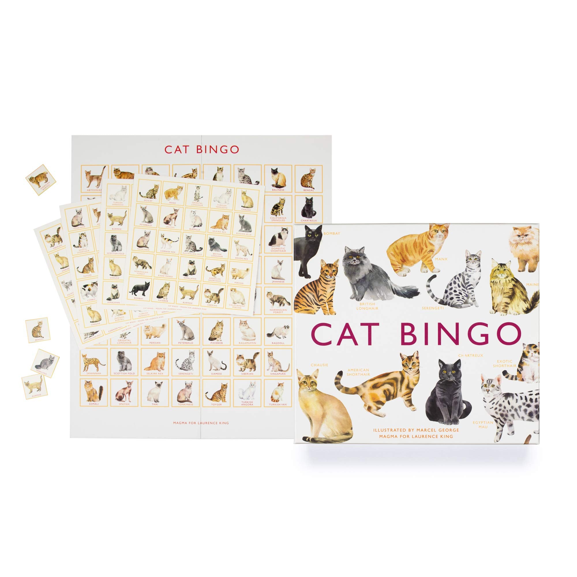Brumby - Bingo - Cat