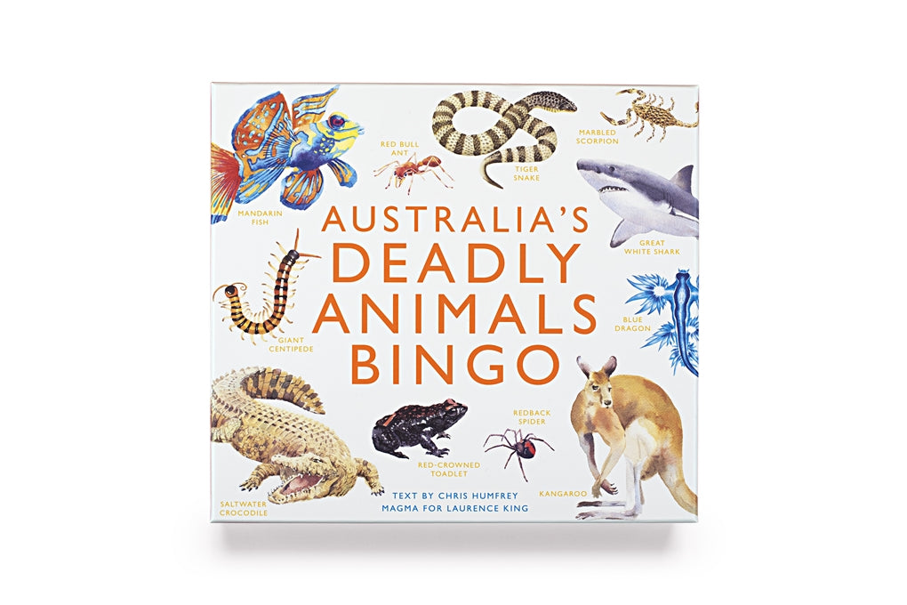 Brumby - Bingo - Australia's Deadly Animals