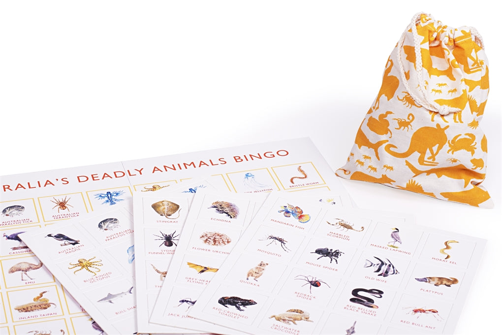 Brumby - Bingo - Australia's Deadly Animals