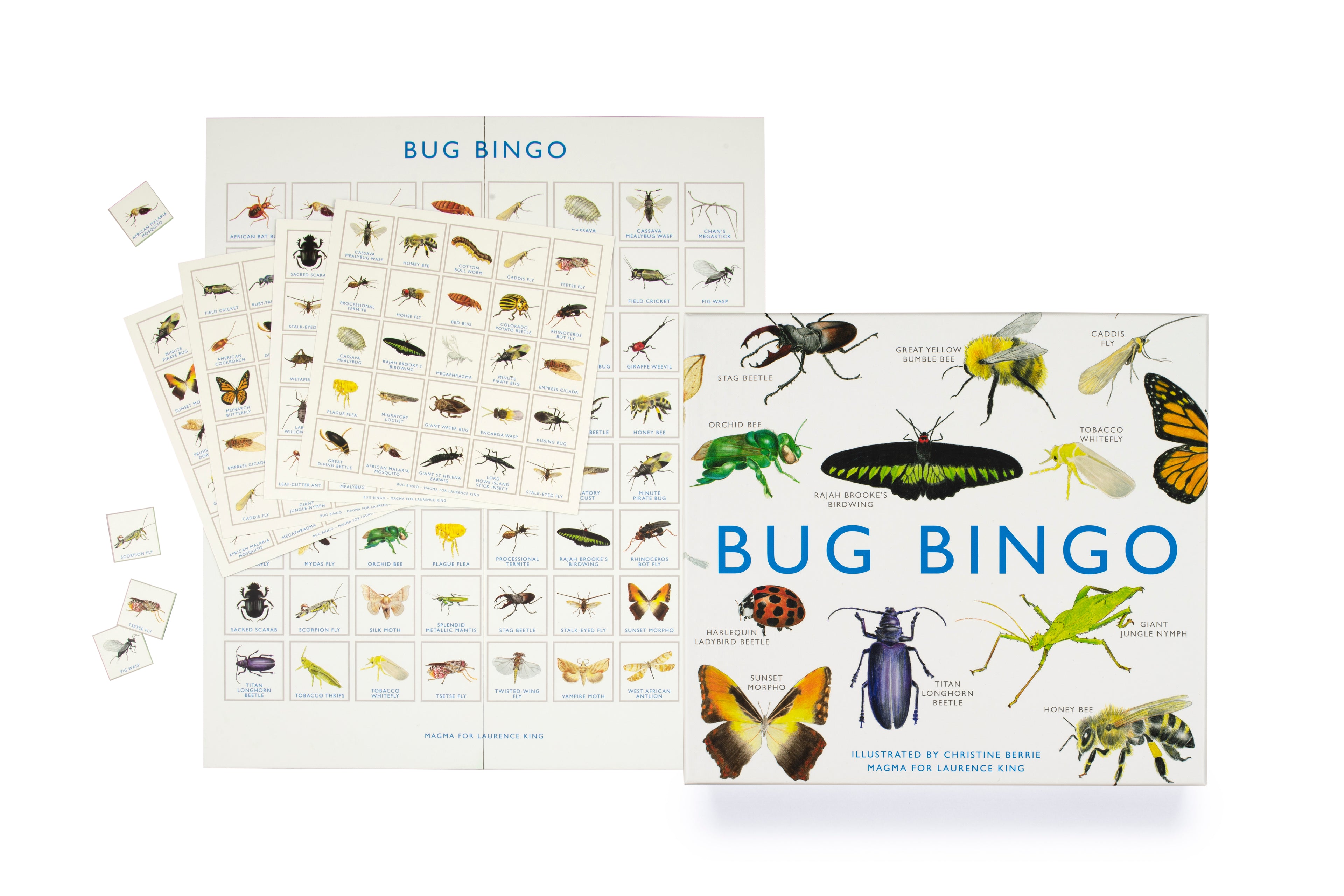 Brumby - Bingo - Bug