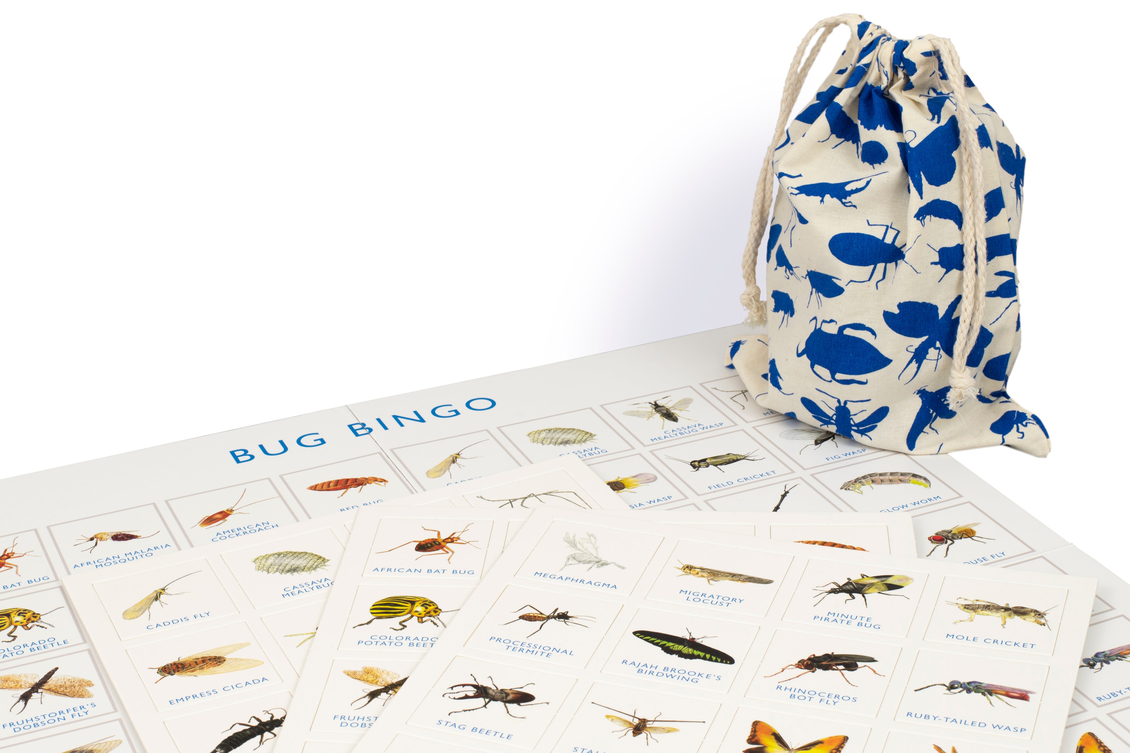 Brumby - Bingo - Bug