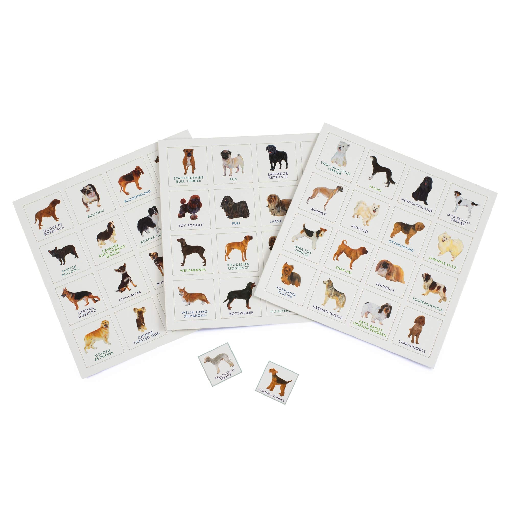 Brumby - Bingo - Dog