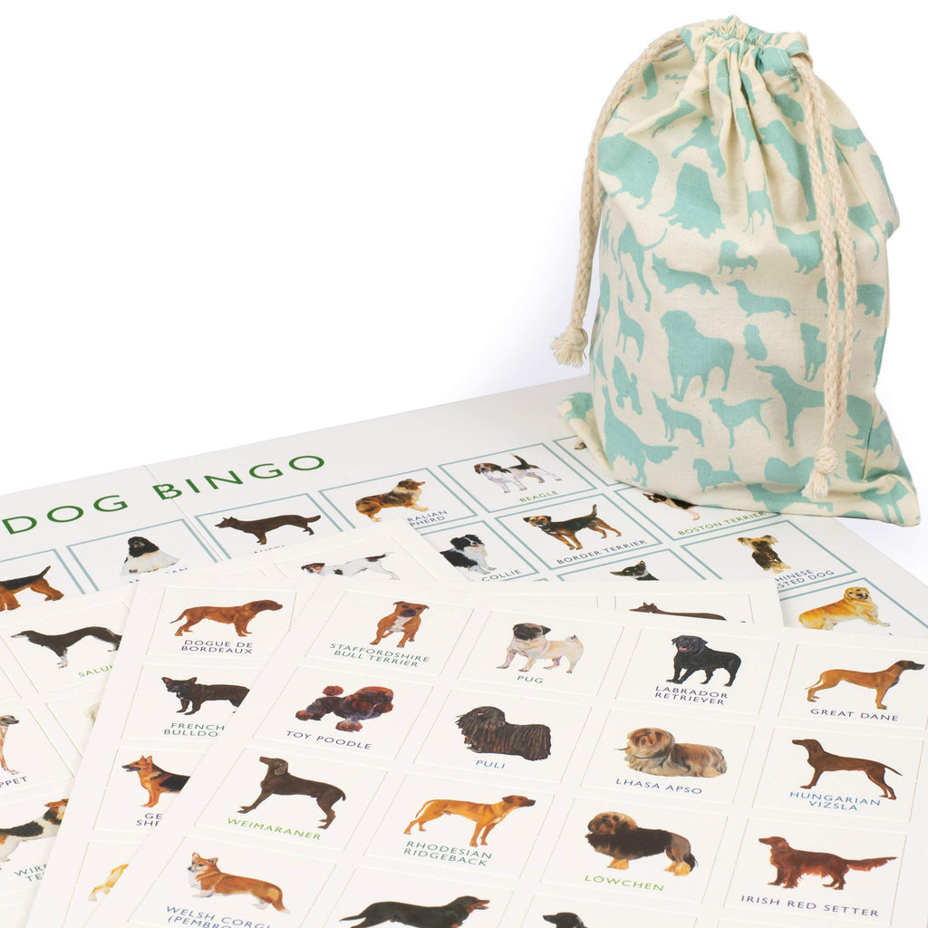 Brumby - Bingo - Dog