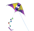 High as a Kite - Electric Kite