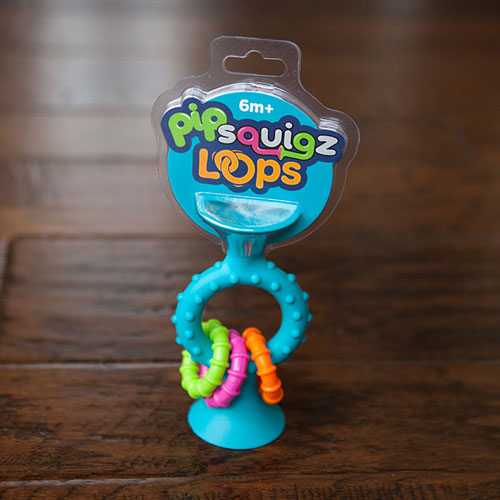 Fat Brain - Pip Squigz Loops Teal