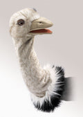 Folkmanis - Ostrich Stage Puppet