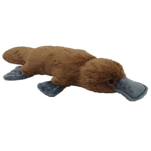 Peter Platypus Soft Toy