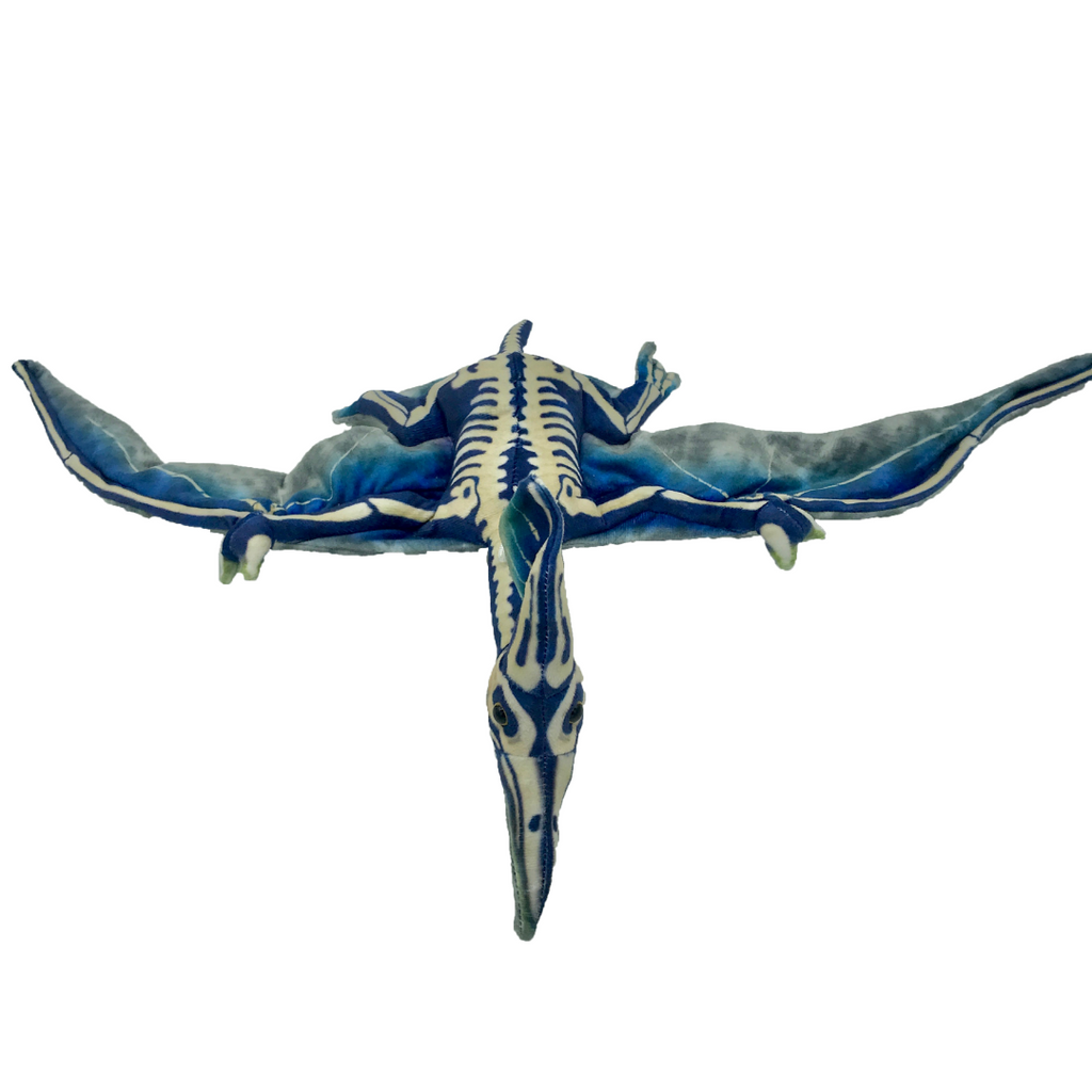 Huggable - Terry Pterosaur