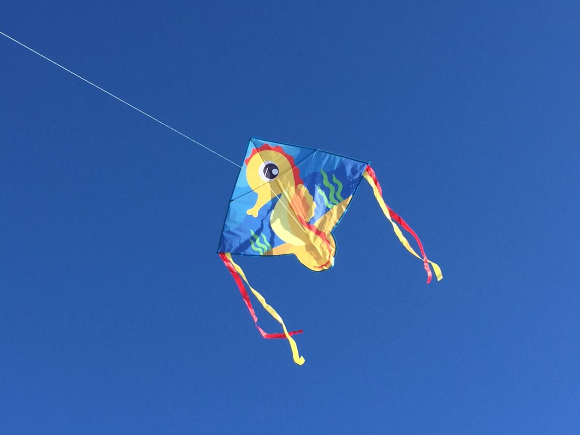 High as a Kite - Seahorse Kite