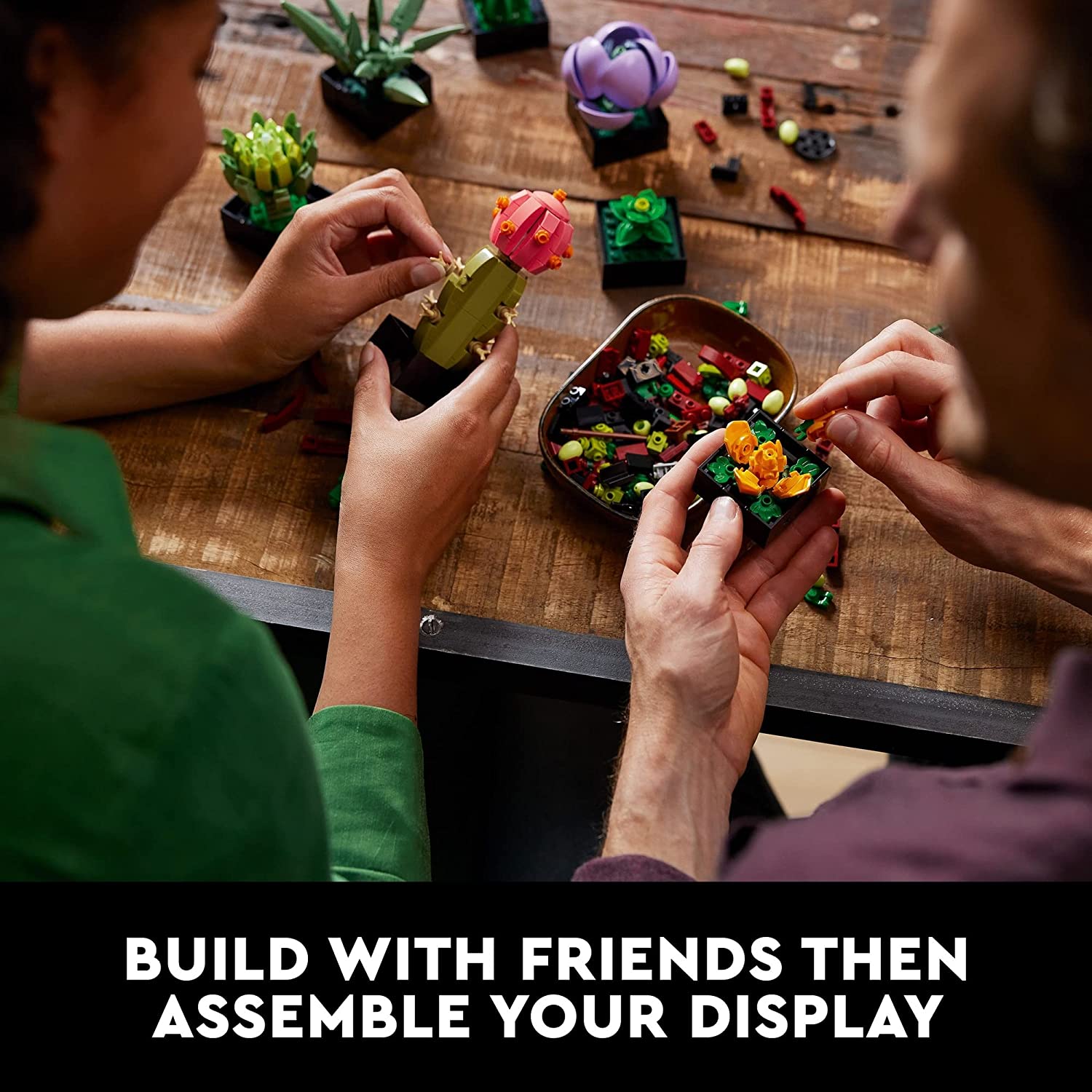 LEGO - Adults Botanical Collection Succulents (10309)