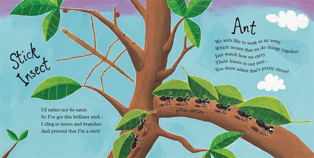 Mad About Mini Beasts (Board Book)