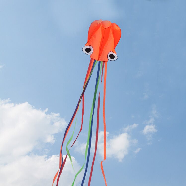 High as a Kite - Octopus Kite