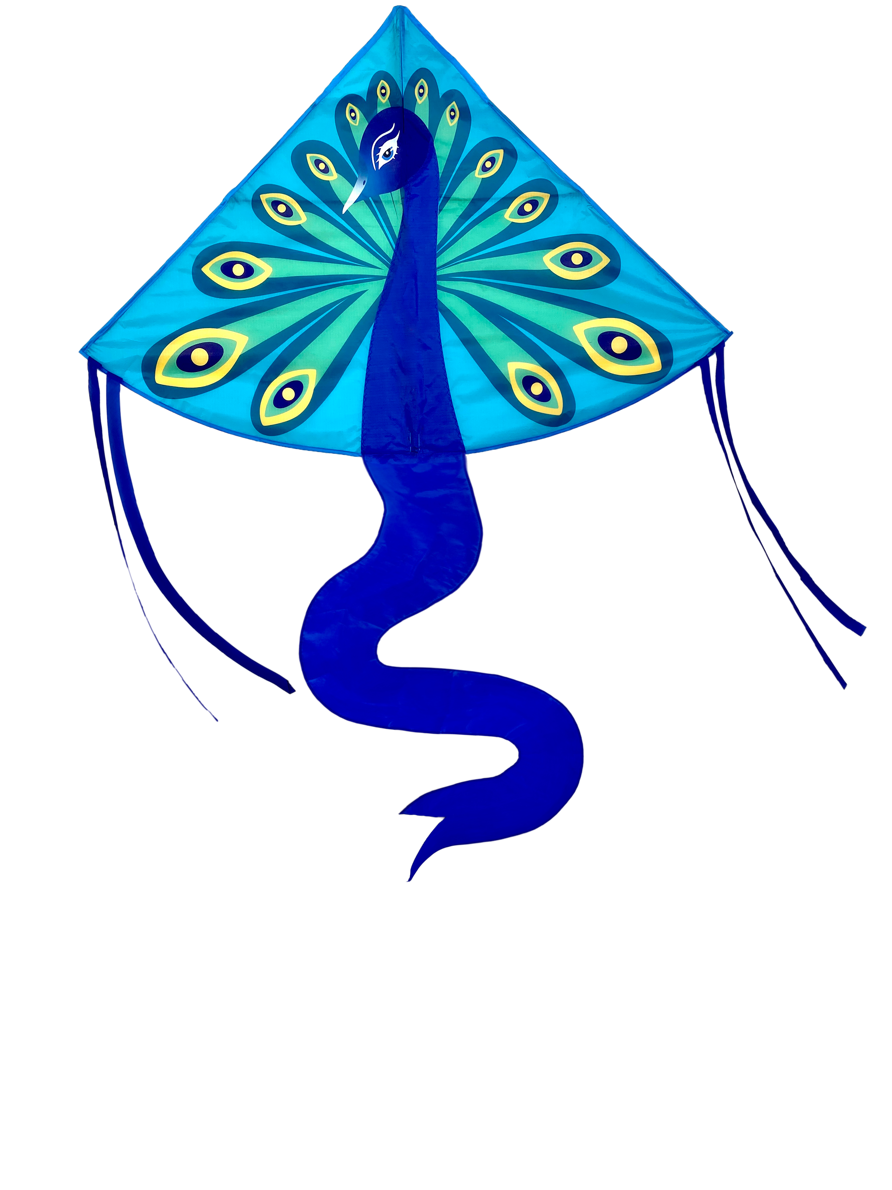 High as a Kite - Peacock Kite