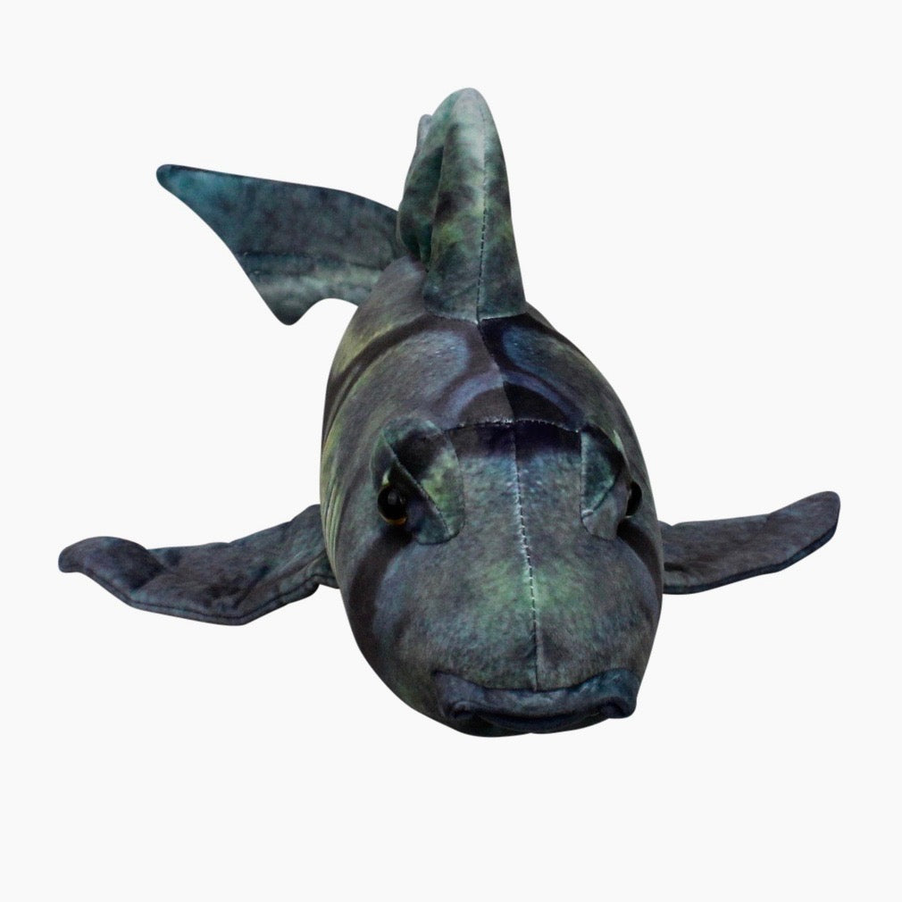 Huggable - Port Jackson Shark