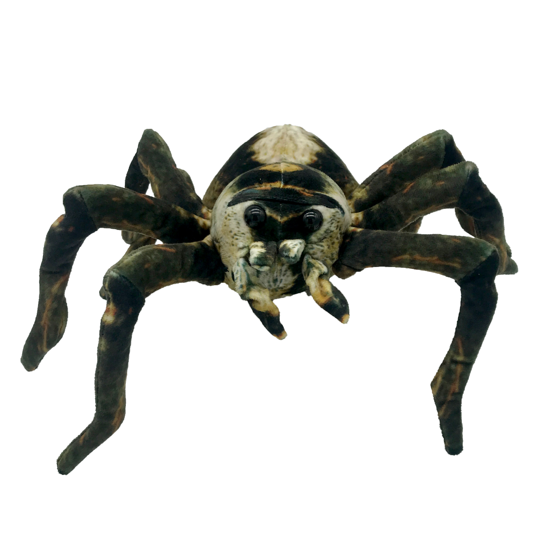 Huggable - Sebastian Spider