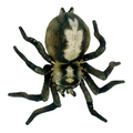 Huggable - Sebastian Spider