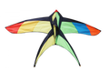 High As A Kite - Swallow Tail Kite