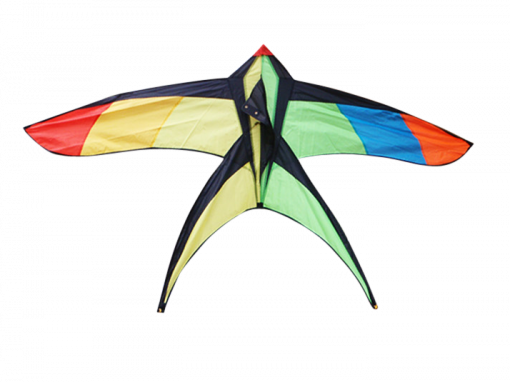 High As A Kite - Swallow Tail Kite