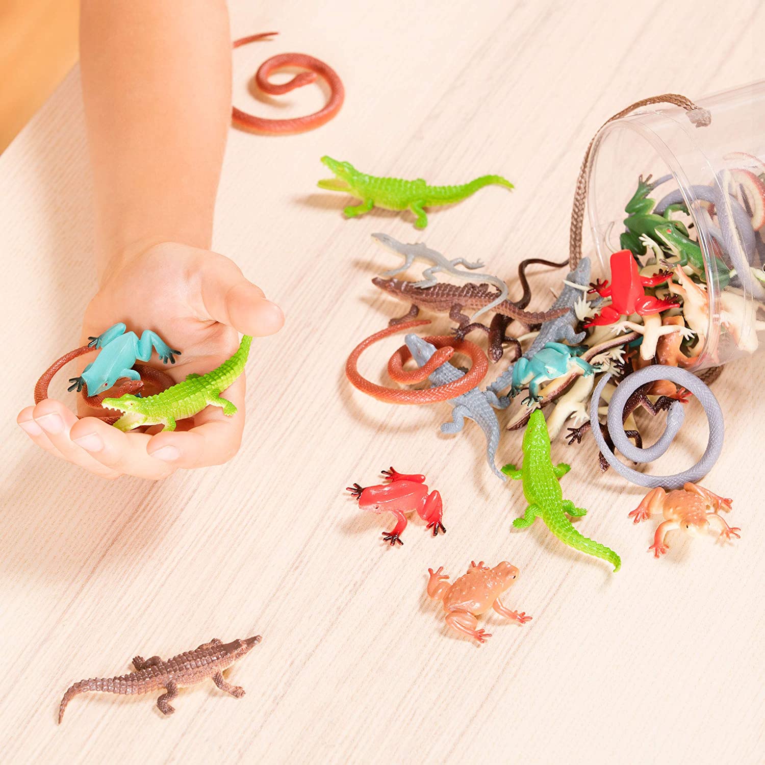 Terra - Tub - Reptiles